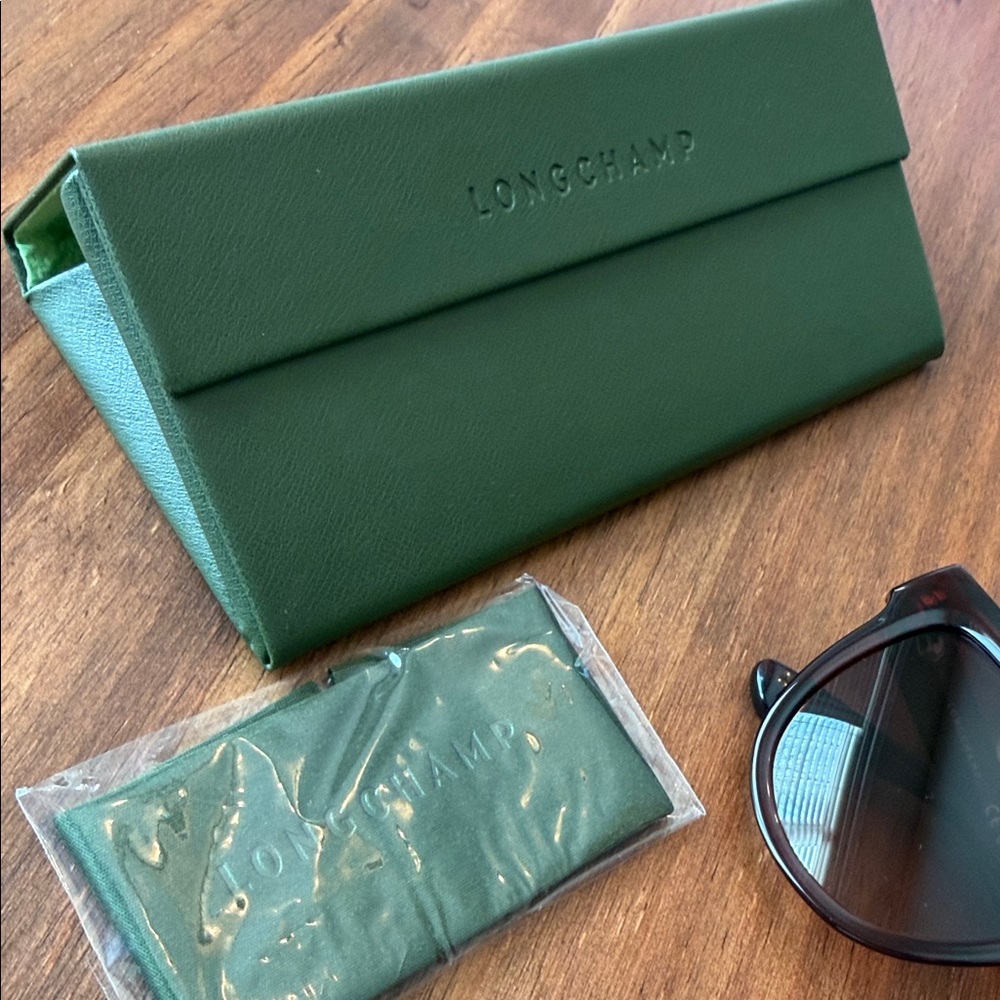 Longchamp Transparent Rust Sunglasses - image 8